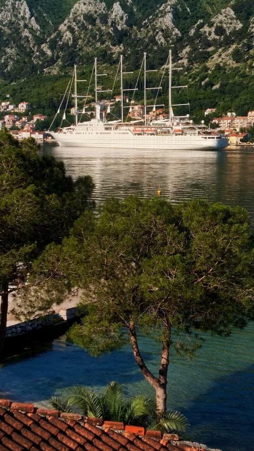 Apartments Radimir Kotor Exteriér fotografie